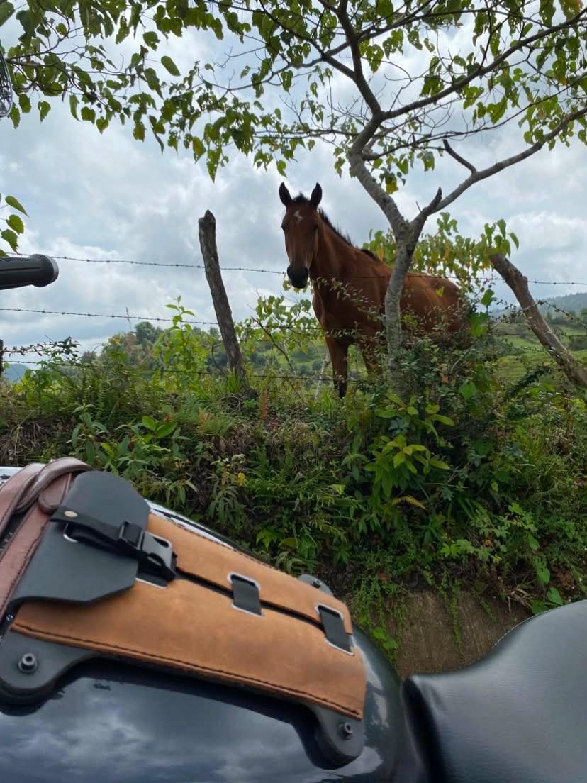 ContourPack TankPack on a ride through the Mexican countryside